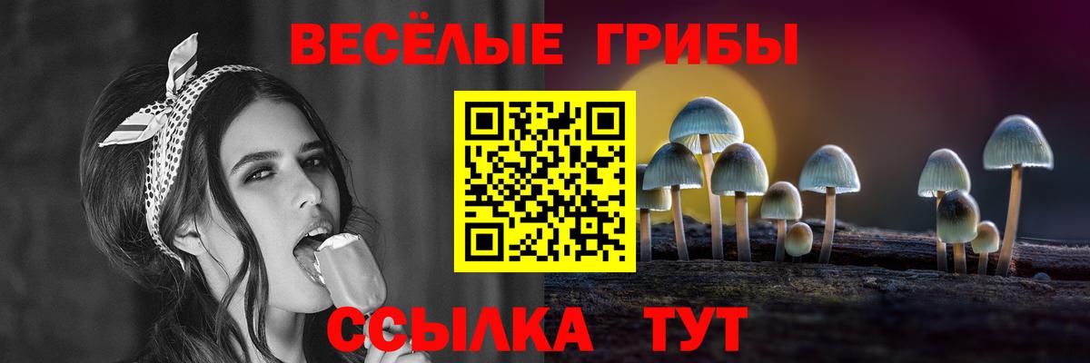 Малгобек  Псилоцибиновые грибы мухоморы  Вход с VPN  как найти закладки  Галлюциногенные грибы Psilocybe 