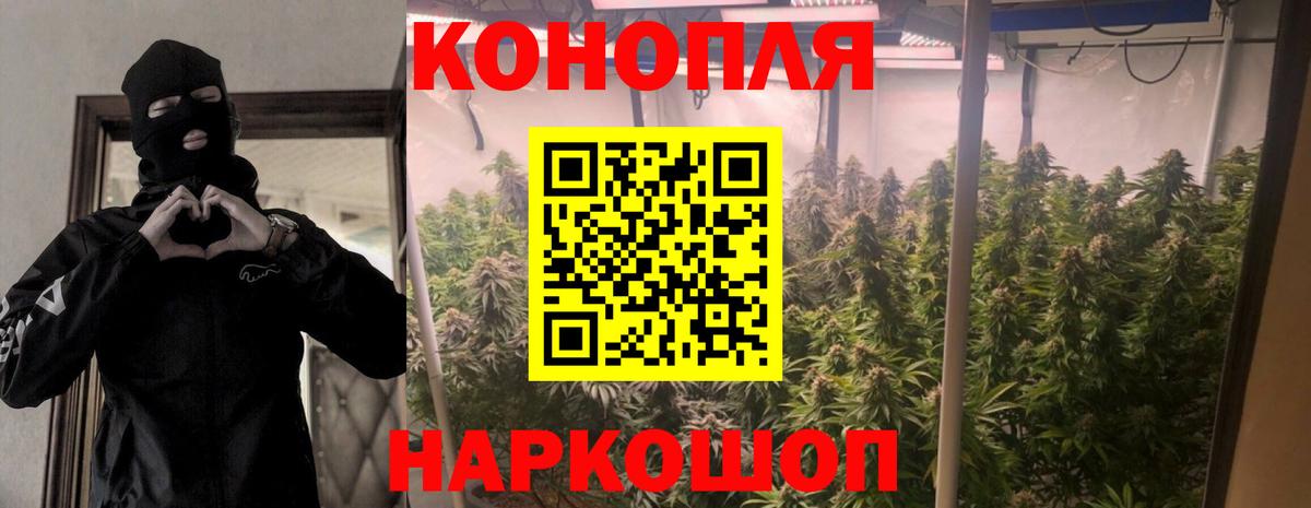 Малгобек  Каннабис White Widow  МАРИХУАНА семена  Каннабис MAZAR  Вход с VPN 